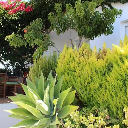 Casa Colorida Поршеш